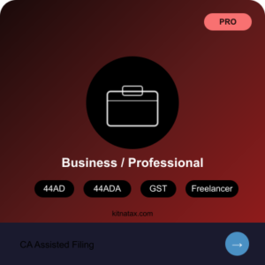 ITR Filing – Business / Professional Plan